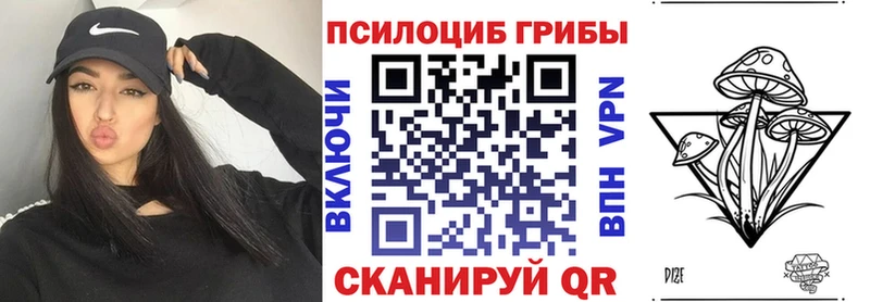 где продают   Черноголовка  кракен зеркало  Галлюциногенные грибы MAGIC MUSHROOMS 